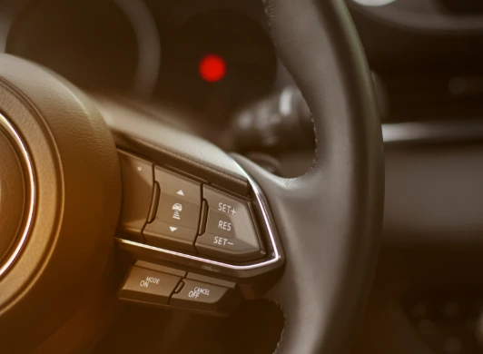 Limited Edition Interiors